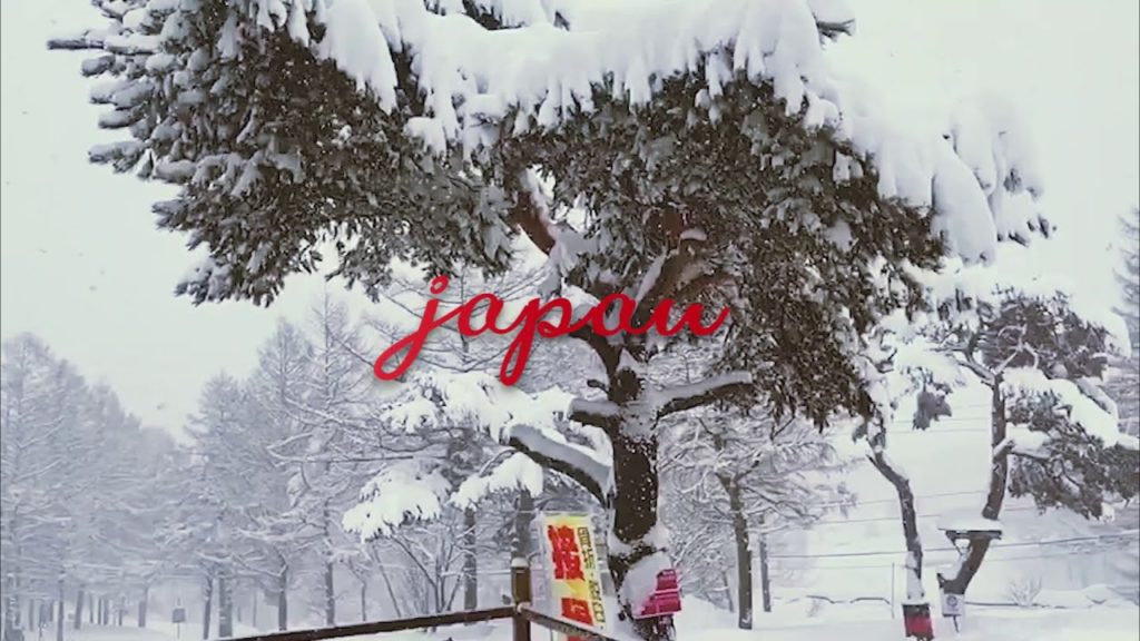 Snowfall in Japan | First Video | Nadim Vlogs | Bangladeshi Vlogger | Travel Vlog | Japan Vlog Snowfall in Japan | First Video | Nadim Vlogs | Bangladeshi Vlogger | Travel Vlog | Japan Vlog