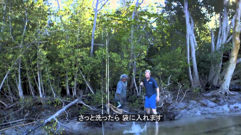 Taste Master: Mud Crabbing (Japanese Subtitles)