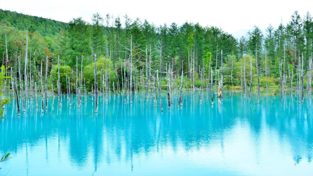 “Otaru Kourakuen” YADO PV mini : Tourist Spots 06/JAPAN : 宿PV mini おたる宏楽園 青い池 “Otaru Kourakuen” YADO PV mini : Tourist Spots 06/JAPAN : 宿PV mini おたる宏楽園 青い池
