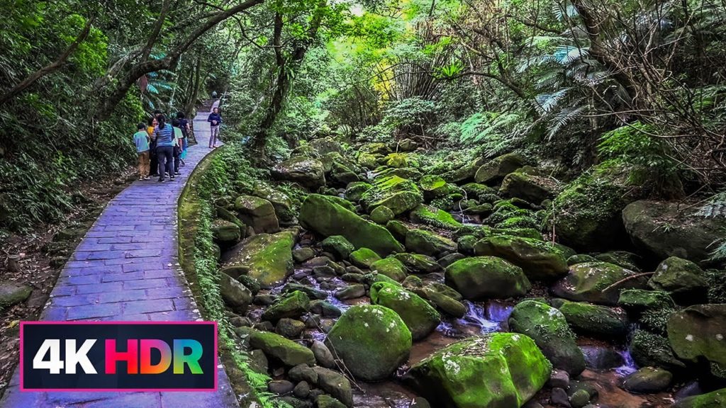 【4K HDR】Taipei Walk-內湖大溝溪-圓覺寺步道｜Dagou Stream Riverside Park｜Yuanjue Temple Trail