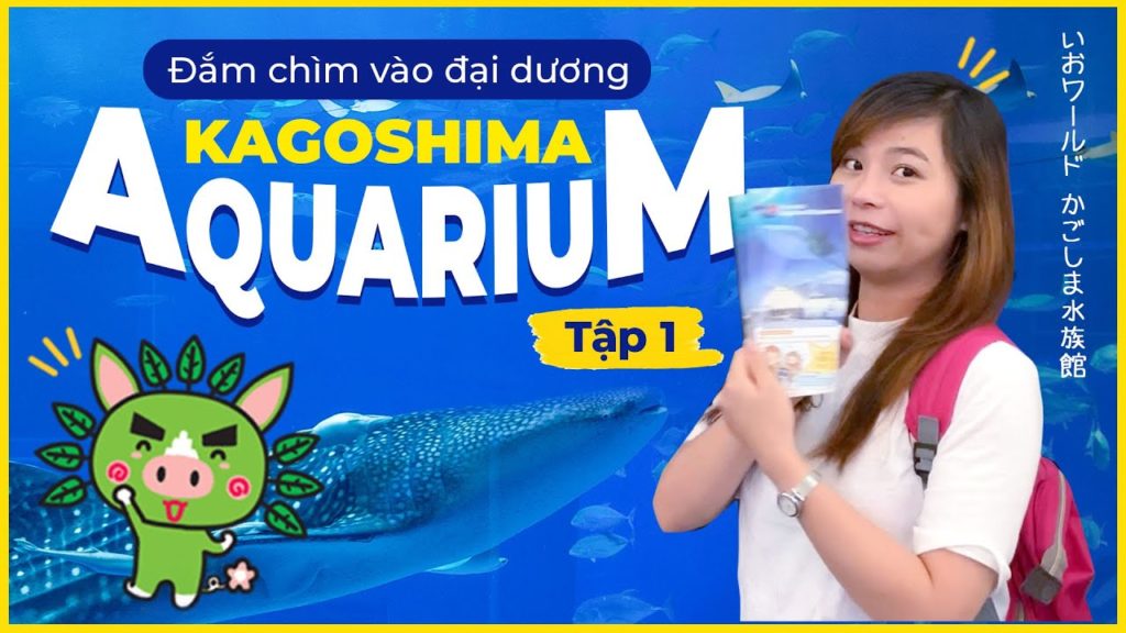 Du Lịch Kagoshima Cùng Vi l Tập 1 l Đắm Chìm Vào Đại Dương Kagoshima Aquarium (Engsub)