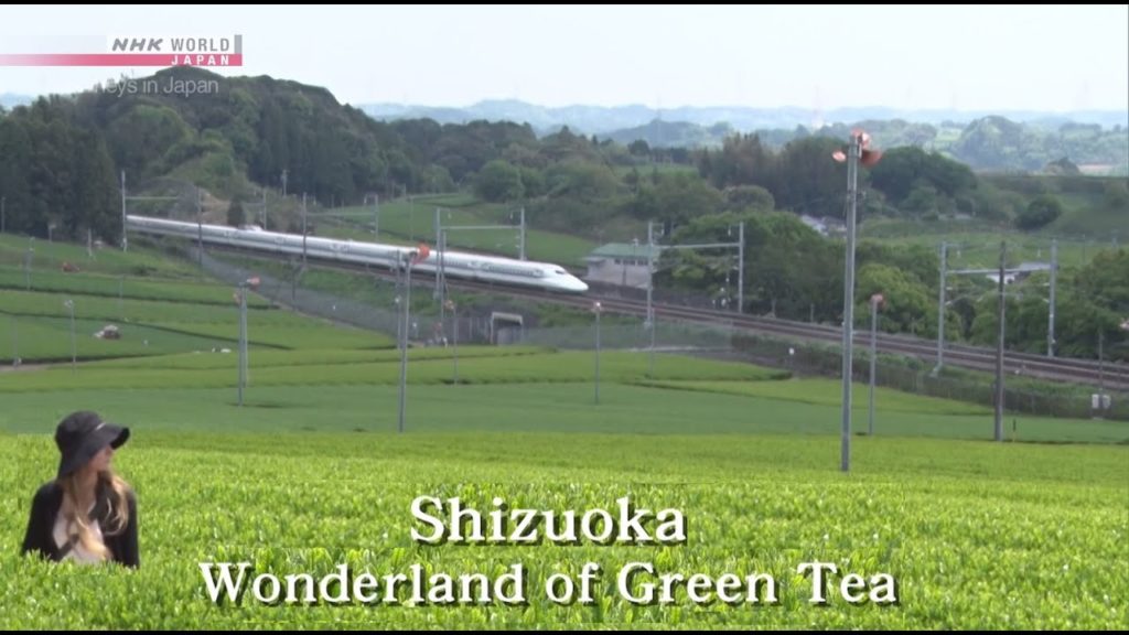 Shizuoka: Wonderland of Green Tea - Journeys in 🇯🇵    NHK