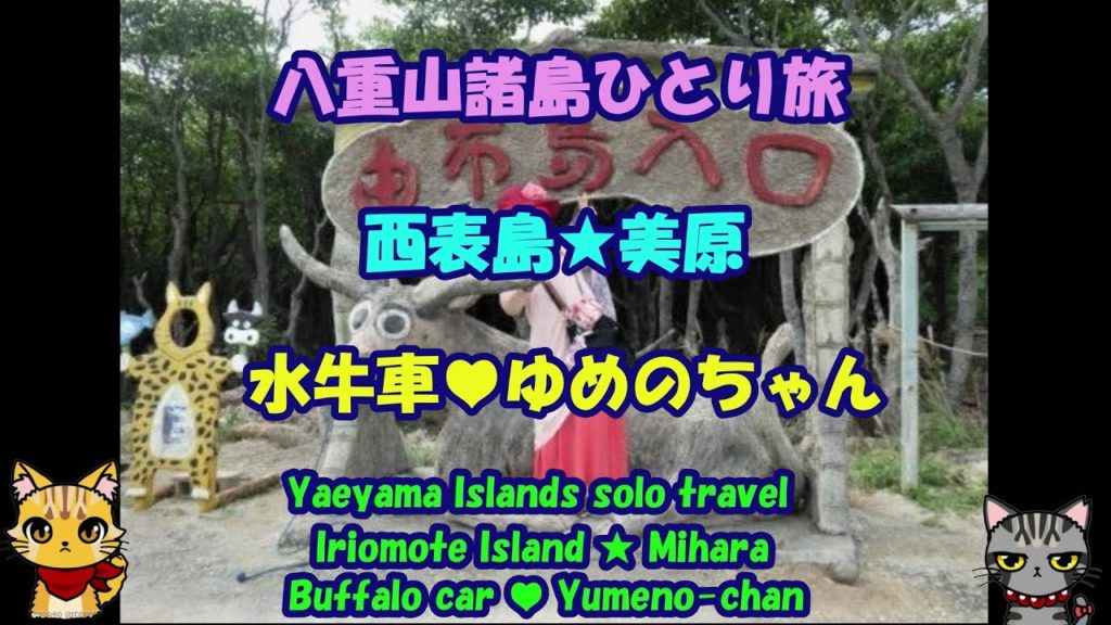 八重山諸島ひとり旅・西表島・美原・水牛車・ゆめのちゃん・Buffalo car ・ Yumeno-chan・Iriomote Island ・Mihara・Yaeyama Islands trip