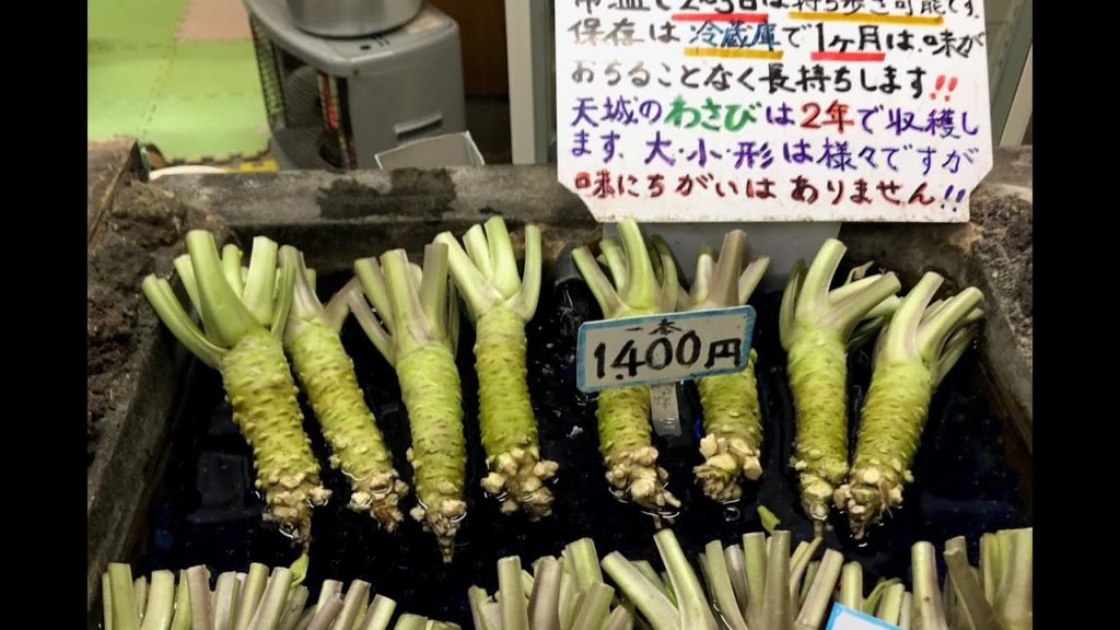 A trip to Japan ( Part 1)