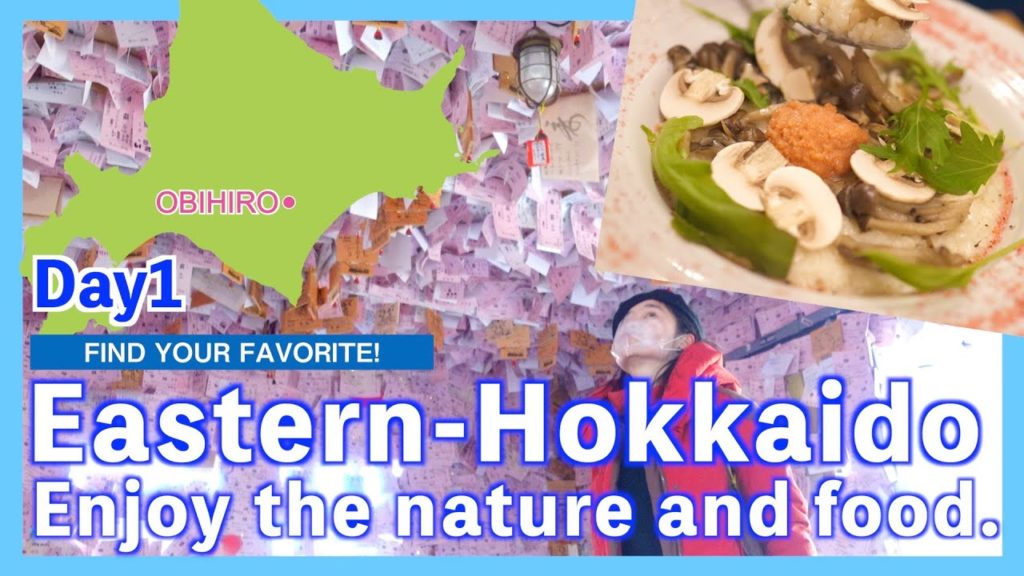 Eastern-Hokkaido Enjoy the nature and food. DAY 1 Obihiro Airport to Obihiro Town