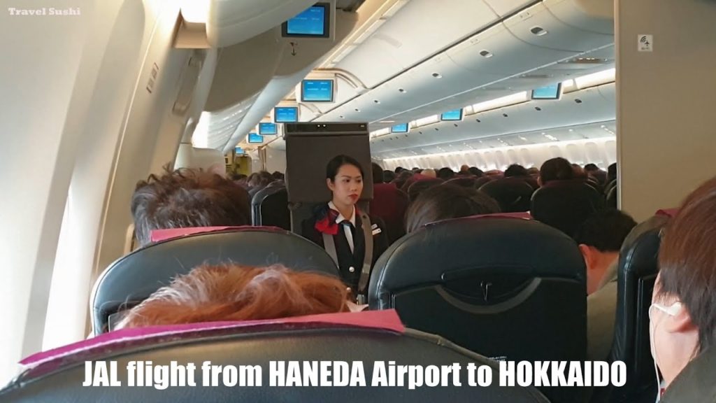 JAL flight from Haneda Airport to Hokkaido