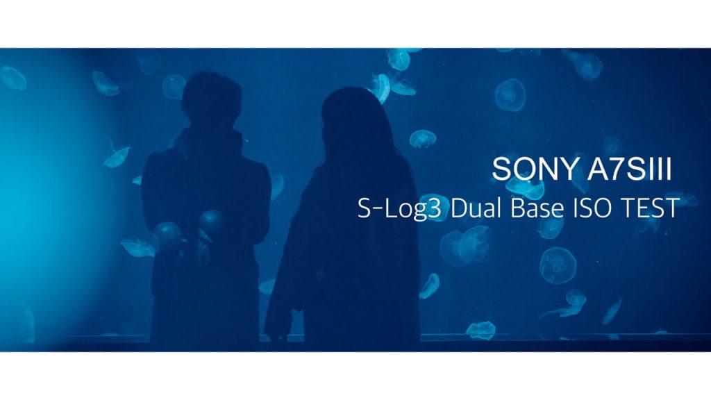 SONY A7SIII S-Log3 Dual Base ISO | high sensitivity ISO12800~ 4K Video Test