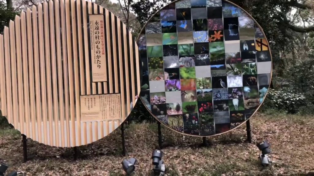 Japan Trip - Day 10 (Senso-Ji Temple, Meiji Jingu Shrine & Harajuku)