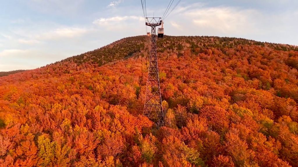 Autumn Foliage in Aomori, Japan