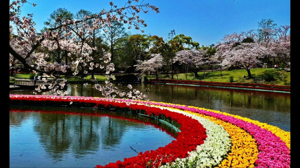 感激を求めて　はままつフラワーパーク　4月8日　静岡県浜松市