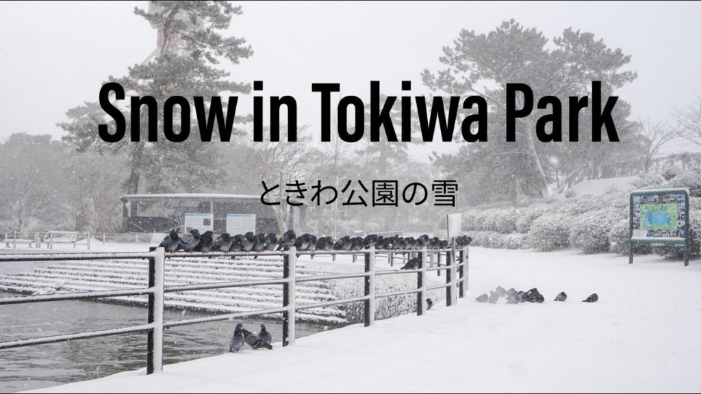 Snow in Tokiwa Park | ときわ公園の雪 | Ube, Yamaguchi, Japan | Cinematic Video | Osmo Pocket
