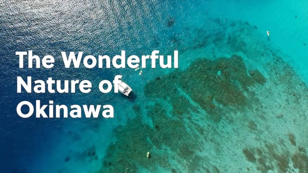 The Wonderful Nature of Okinawa