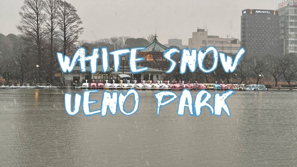 [Vlog] White Snow in Ueno Park | Tokyo Sightseeing, Japan