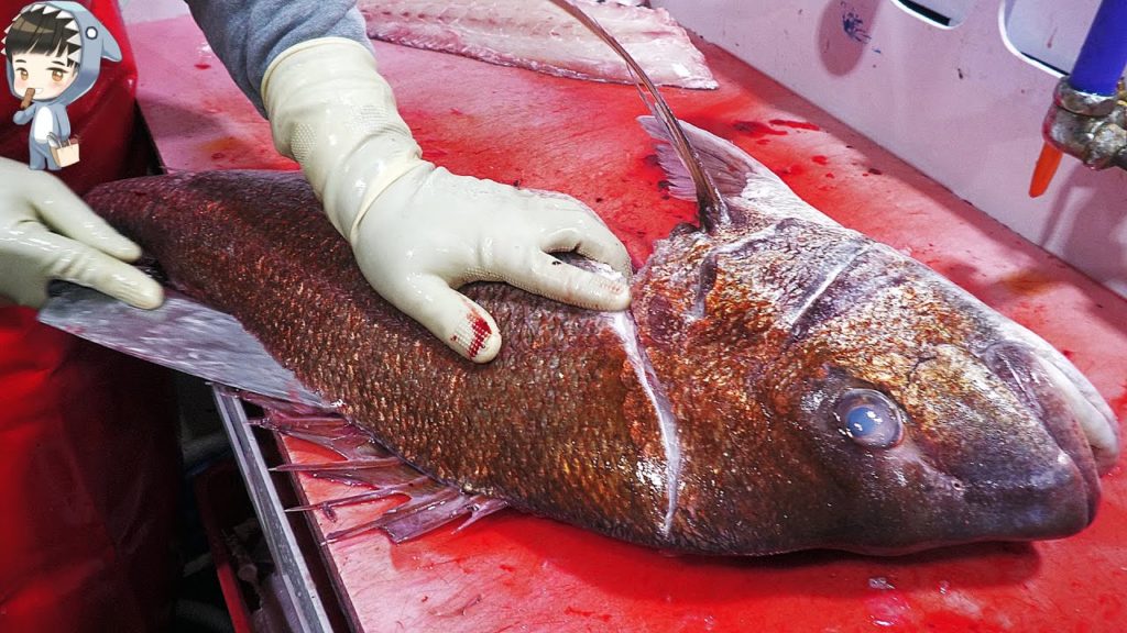 KOREAN STREET FOOD 9.88KG 21lb GIANT RED SEA BREAM SASHIMI KOREA SEAFOOD MARKET 포항 송도활어회센터 참돔 20