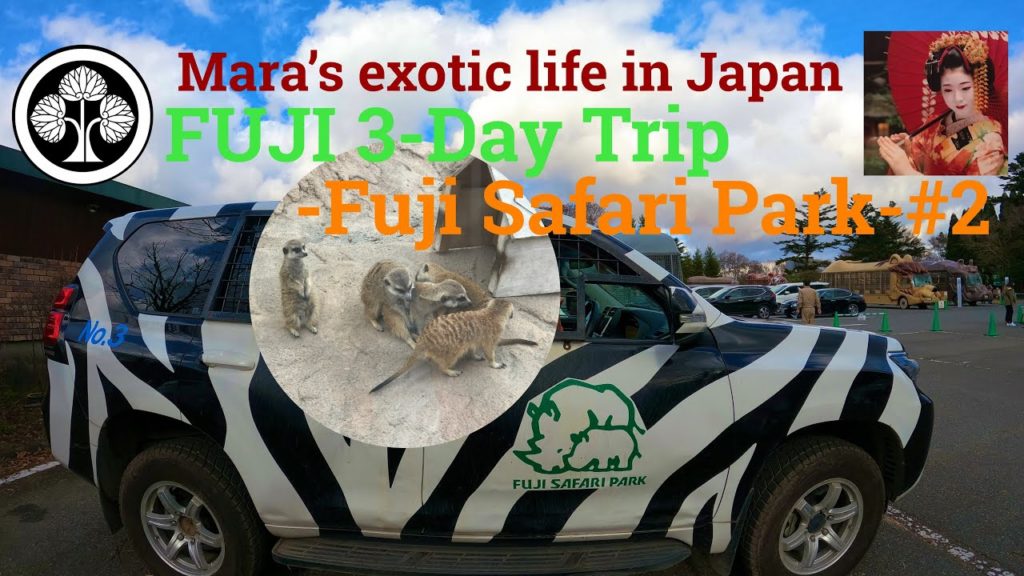 Fuji 3-day trip DAY1 FUJI Safari park, Fuji, Shizuoka, Japan