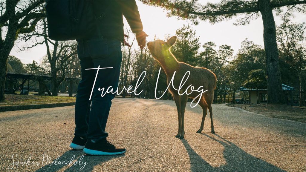 Vlog of my solo trip to Kyoto and Nara a year ago