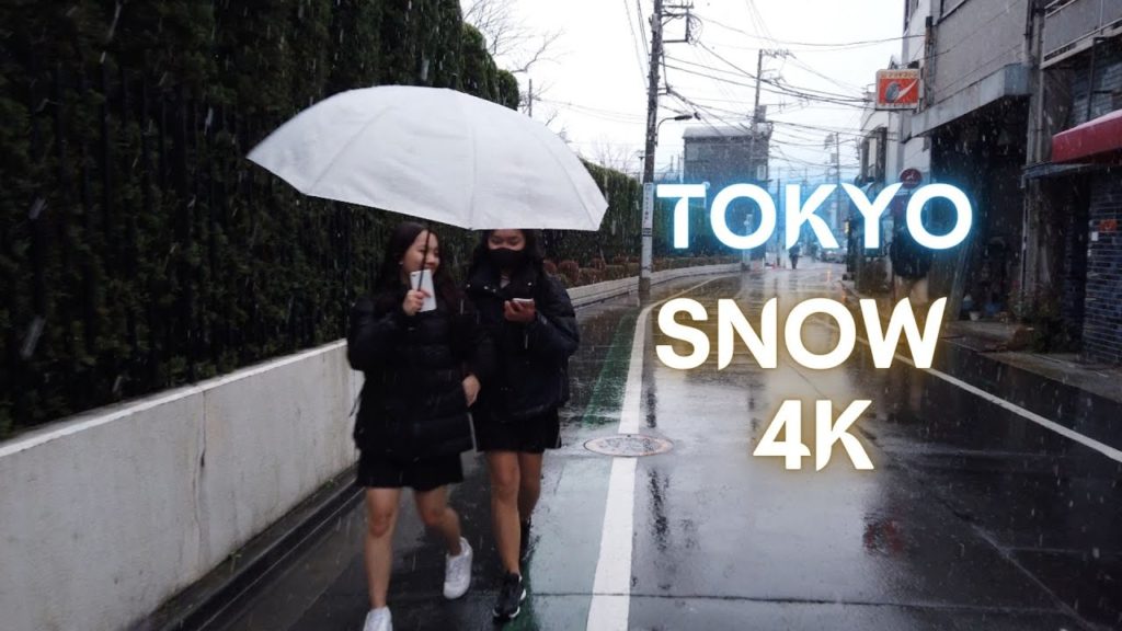 【Snow Walk 4K】🇯🇵 A Snowy Day in Japan [Machiya Tokyo] 日本の降雪, 東京の降雪