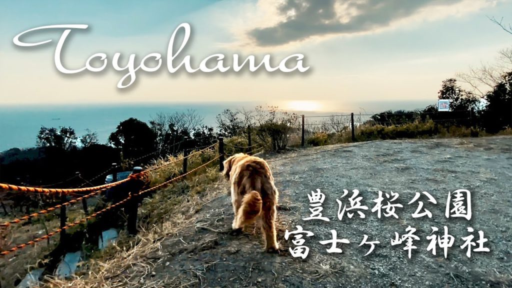 愛知知多半島散策④ 冨士ヶ峰神社 桜公園 わんこと行く展望散歩  Fujigamine Shrine Sakura Park toyohama-aichi-japan