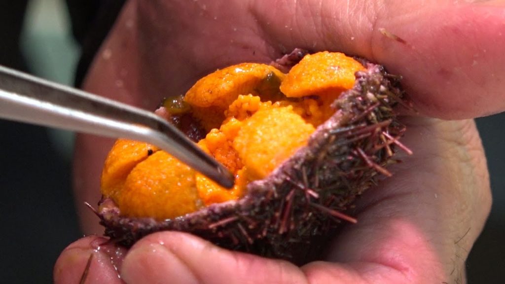 Japanese Street Food - Osaka Seafood, Uni [Sea urchin], Kuromon Market in Japan Part 3