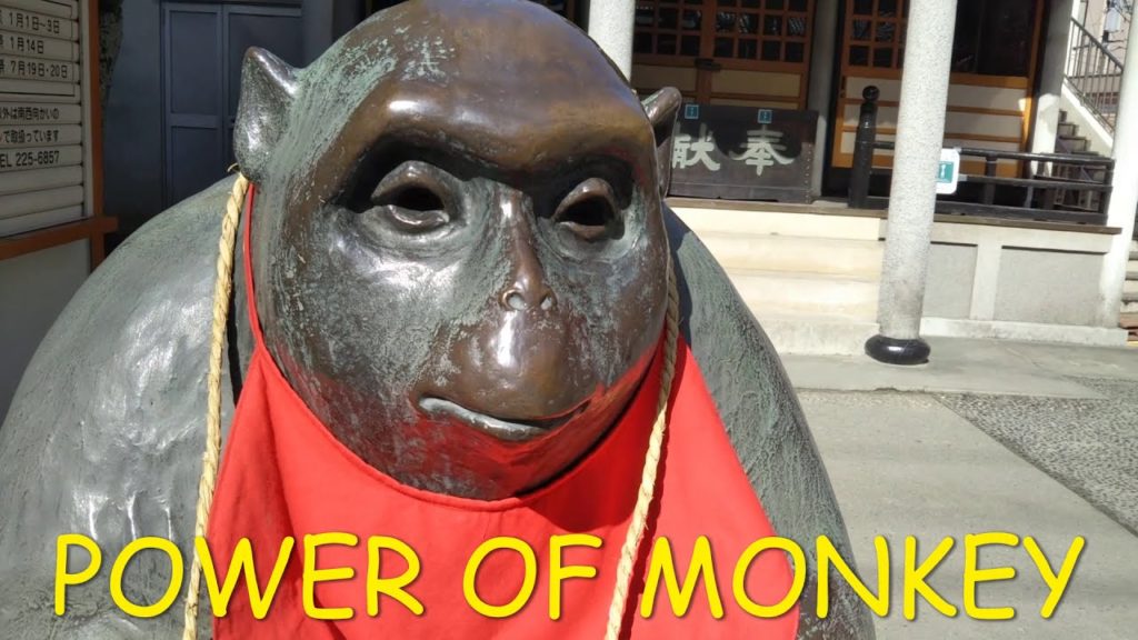 MOST MYSTERIOUS SHRINE YOU CAN WARP DRIVE FROM CITY SHRINE TO FOREST SHRINE, SENDAI CITY