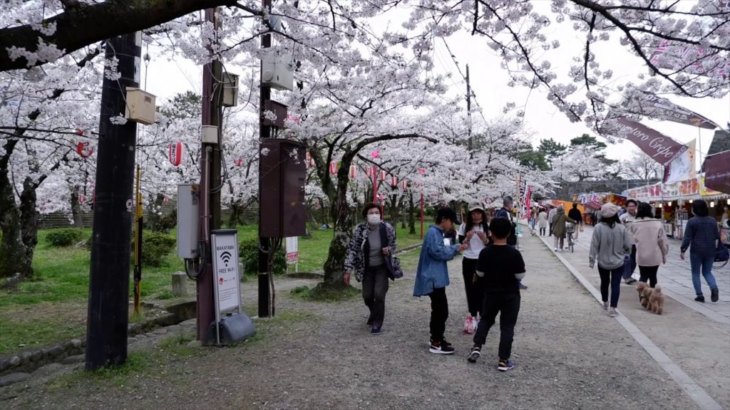 Spring Season Wakayama, Japan