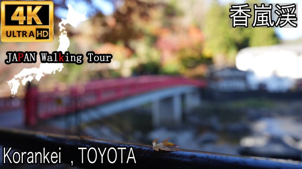 Korankei  , TOYOTA CITY | November 2020 | 豊田市足助町の香嵐渓
