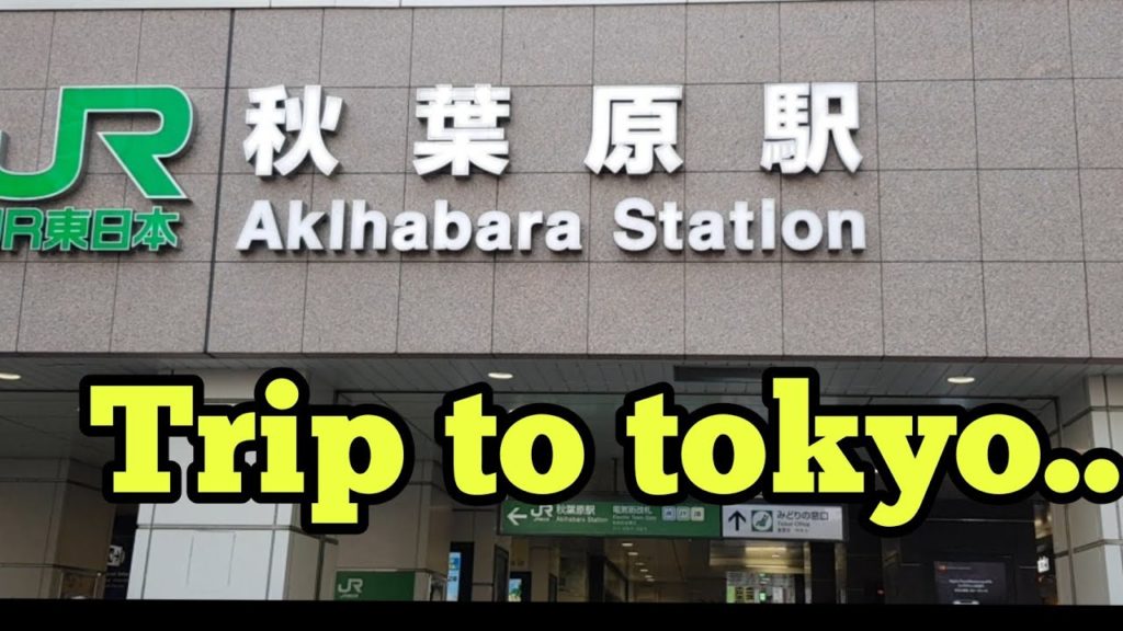 Trip to tokyo and yokohama.