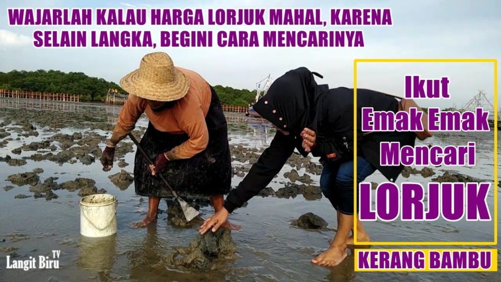 ikut Emak Emak MENCARI LORJUK KERANG BAMBU ikut Emak Emak MENCARI LORJUK KERANG BAMBU