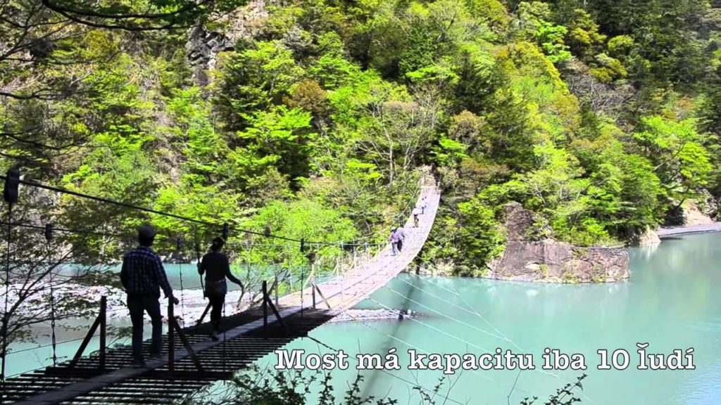 Japonská roklina - Roklina Sumata v Prefekture Shizuoka