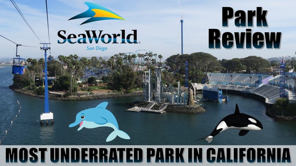 SeaWorld San Diego Review | The Original SeaWorld Park SeaWorld San Diego Review | The Original SeaWorld Park