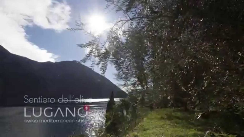 Lugano in Blog – Sentiero dell'olivo/The Olive Grove Trail Lugano in Blog - Sentiero dell'olivo/The Olive Grove Trail