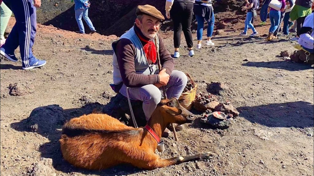 Visit Volcano Etna in Sicily | MSC Cruises Excursion Visit Volcano Etna in Sicily | MSC Cruises Excursion