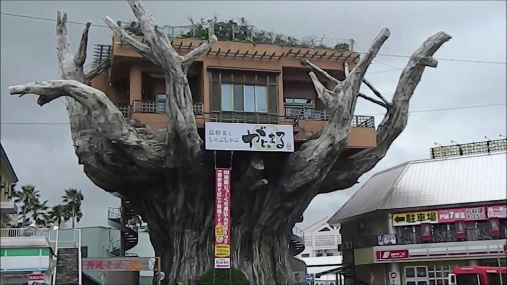 Naha port and Gajumaru up a tree for lunch Mar 12, 2014