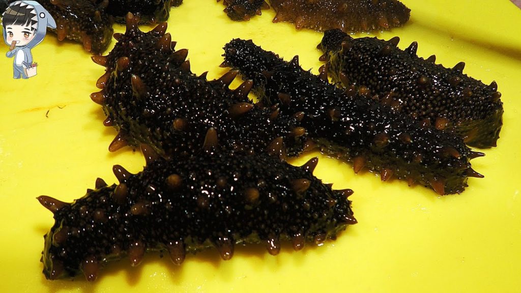 KOREAN STREET FOOD SEA CUCUMBER SASHIMI KOREA SEAFOOD MARKET 해삼 회 포항 송도 활어회센터 090120