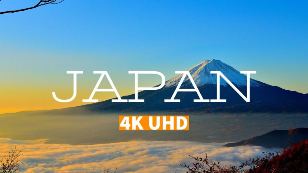 Japan In Full Bloom | Cherry Tree Blossom  Season Japan In Full Bloom | Cherry Tree Blossom  Season