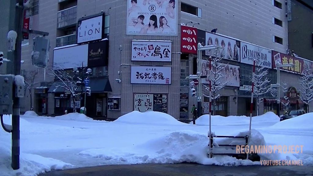 Amateur Travel Vlog JAPAN : Sapporo & Tokyo With Japan Songs