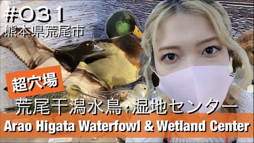 #031. Arao-higata Waterfowl and Wetland Center