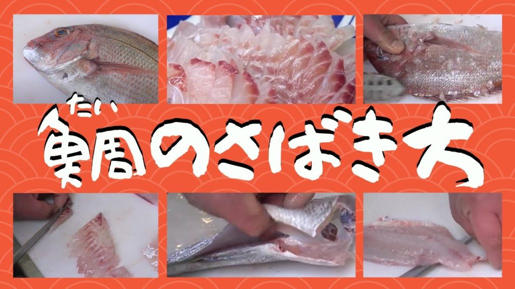その場で食べる！鯛のさばき方と刺し身【北海道札幌 二条市場グルメ】