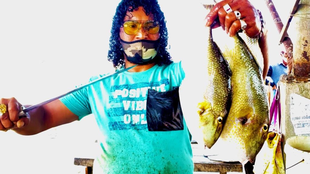 HOW TO CUT AND SKIN A TITAN TRIGGER FISH | MADE IN SRI LANKA FISH CUTTERS