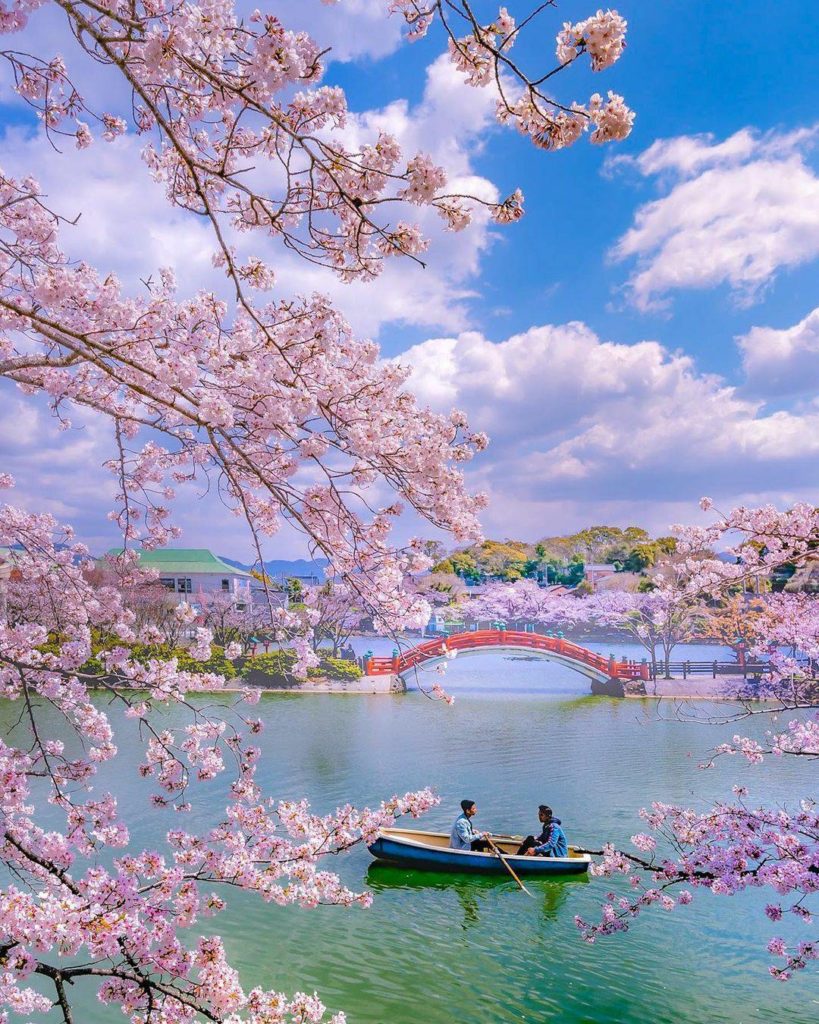 Don't let anyone tell you otherwise...fairytales 𝘥𝘰 exist!  Fukuoka's Habu Park ...