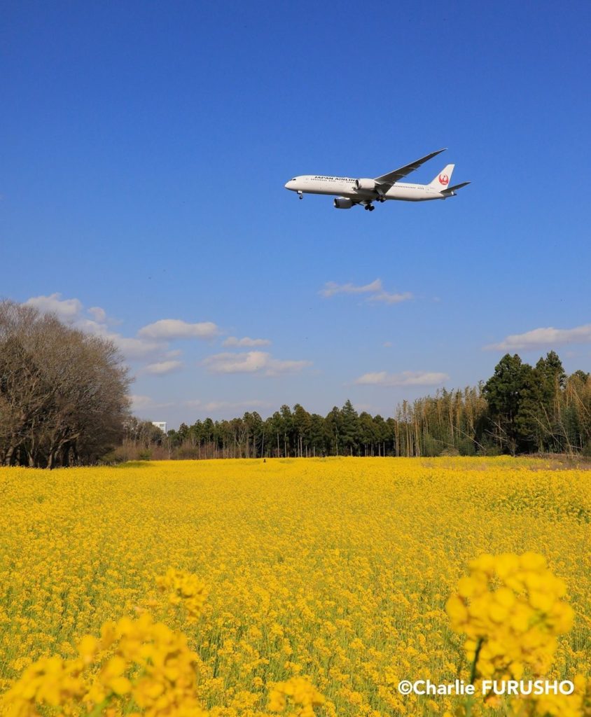 .
What spring landscape energizes you?
Write the number in your comments. 

1. F...