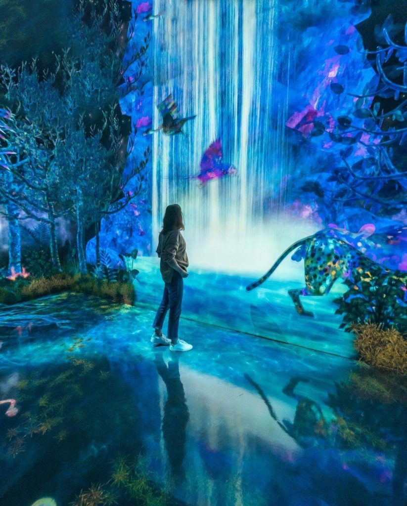 Fukuoka's TeamLab Forest is an immersive art world packed full of possibilities,...