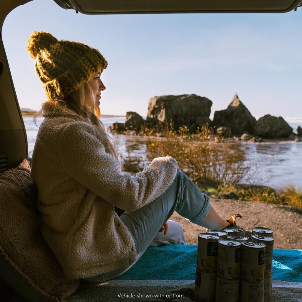 The comfortable interior of the all-new 2021 #Sienna is full of good ideas, and ...