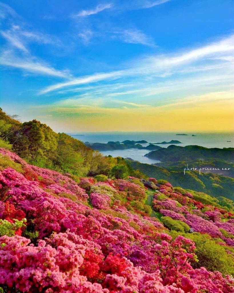 Visit Japan: Spring is here! Every April to May at Saikai National Park Nagushiyama in Nagas… Spring is here! Every April to May at Saikai National Park Nagushiyama in Nagas...