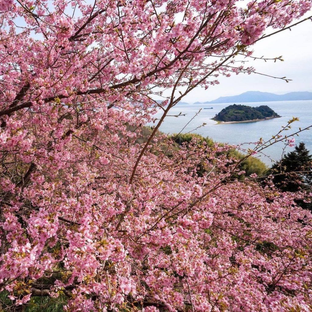 Visit Japan: This gorgeous viewing spot in Hiroshima Prefecture not only gives visitors an id… This gorgeous viewing spot in Hiroshima Prefecture not only gives visitors an id...