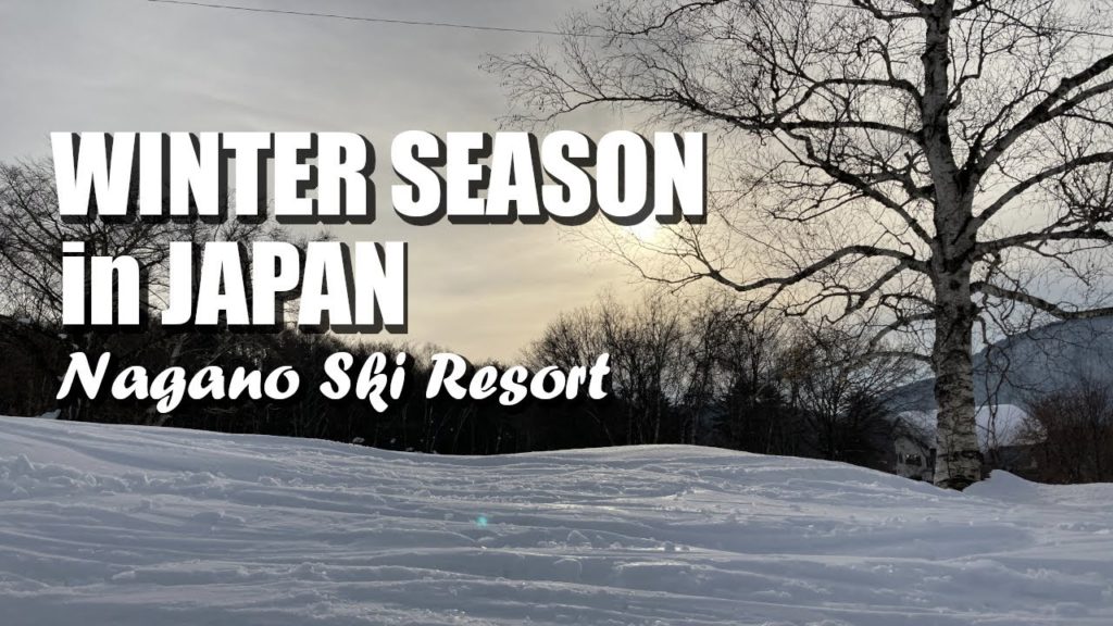 BEST WINTER SEASON VIEW IN JAPAN | NAGANO SKI RESORT BEST WINTER SEASON VIEW IN JAPAN | NAGANO SKI RESORT