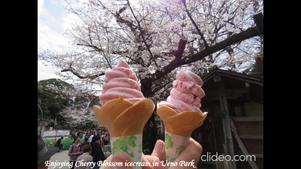 2022 Japan’s Sacred Mountains UNESCO World Heritage Cherry Blossom Tour 14 Nights 2022 Japan’s Sacred Mountains UNESCO World Heritage Cherry Blossom Tour 14 Nights