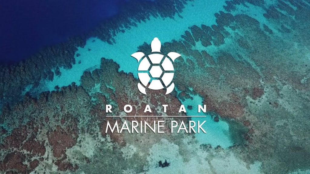 Roatan Marine Park