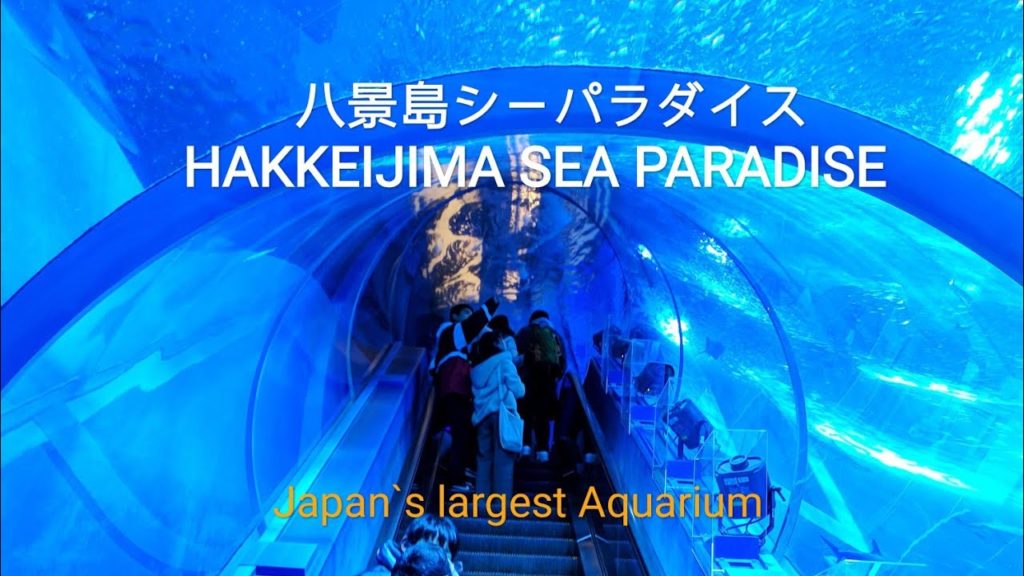 Yokohama Hakkeijima Sea Paradise Aquarium On New Year’s Countdown
