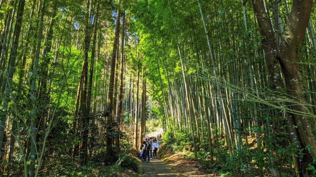 Live Japan Walk - Takeo Onsen, Plum Garden And Shrine 武雄温泉散歩